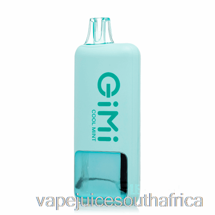 Vape Juice South Africa Flum Gimi 8500 Smart Disposable Cool Mint